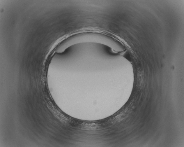 X0000081461168200702021800