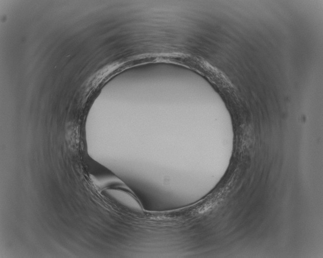 X0000081461169200702021800