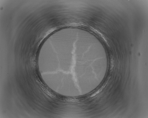 X0000081461170200702021800