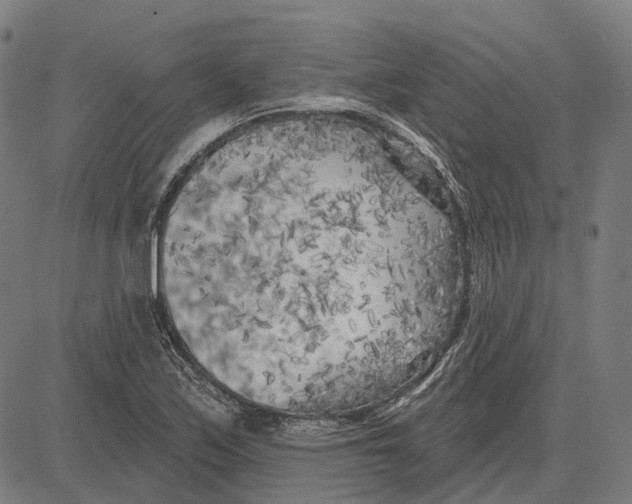 X0000081461171200702021800