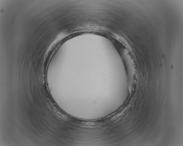 X0000081461172200702021800