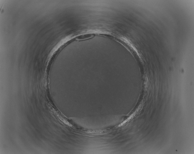 X0000081461173200702021800