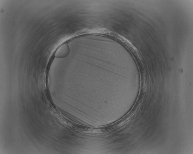 X0000081461174200702021800