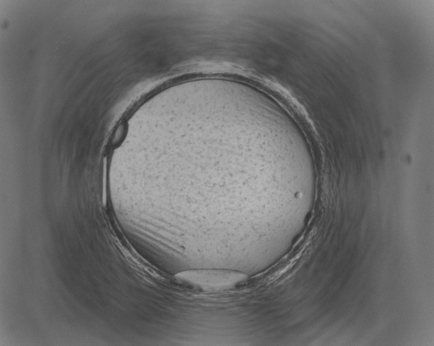 X0000081461175200702021800