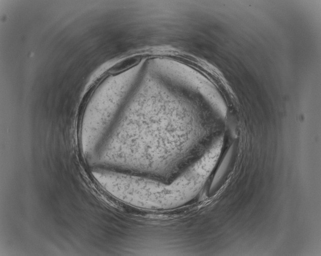 X0000081461176200702021800