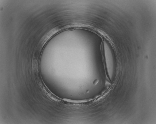 X0000081461177200702021800