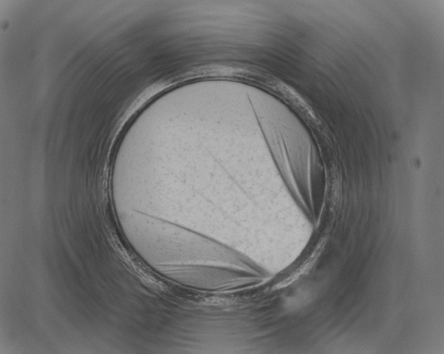 X0000081461178200702021800