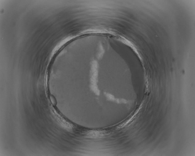 X0000081461179200702021800