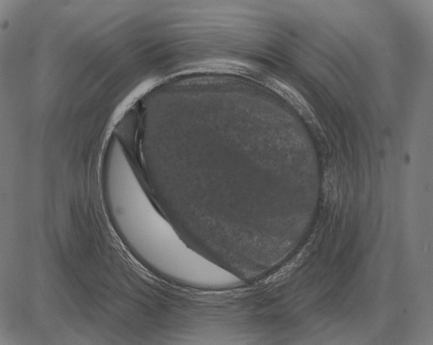 X0000081461180200702021800