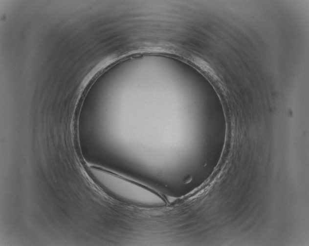 X0000081461181200702021800