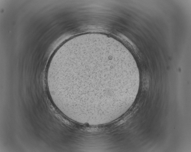 X0000081461182200702021800