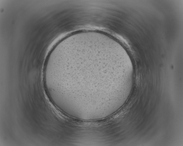 X0000081461183200702021800