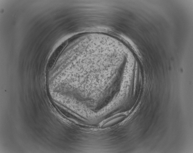 X0000081461184200702021800