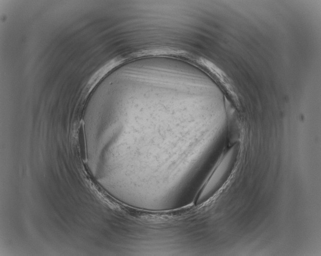 X0000081461185200702021800