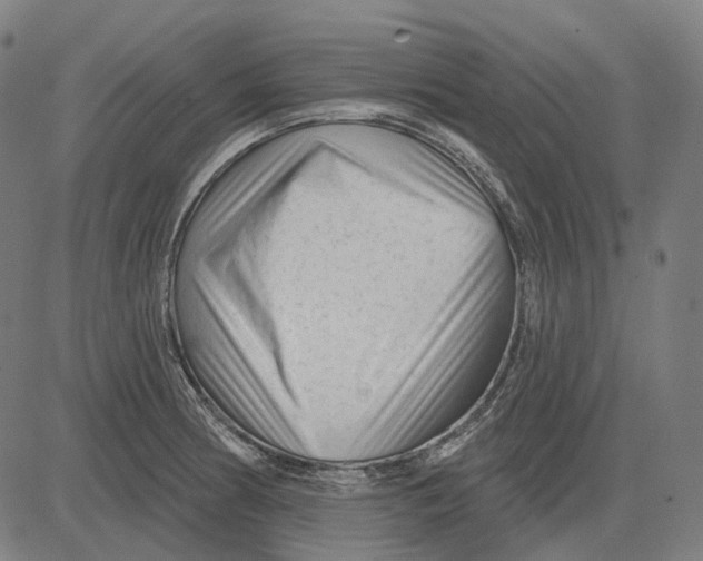 X0000081461186200702021800