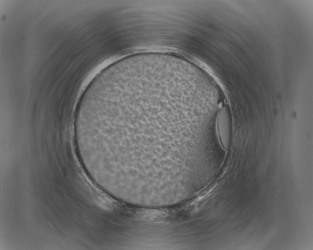 X0000081461187200702021800