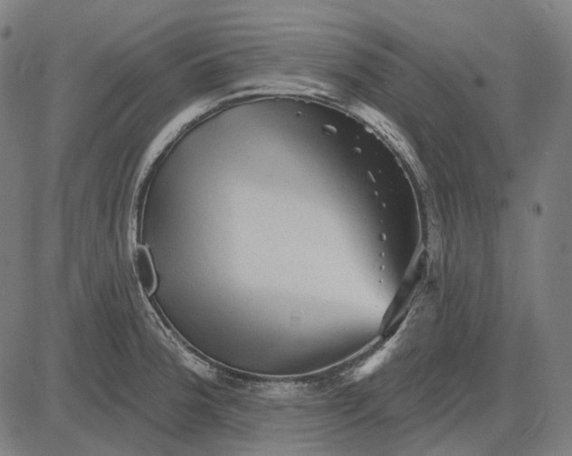 X0000081461188200702021800