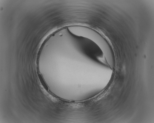 X0000081461189200702021800