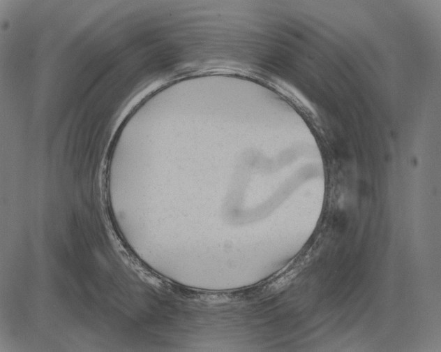 X0000081461190200702021800