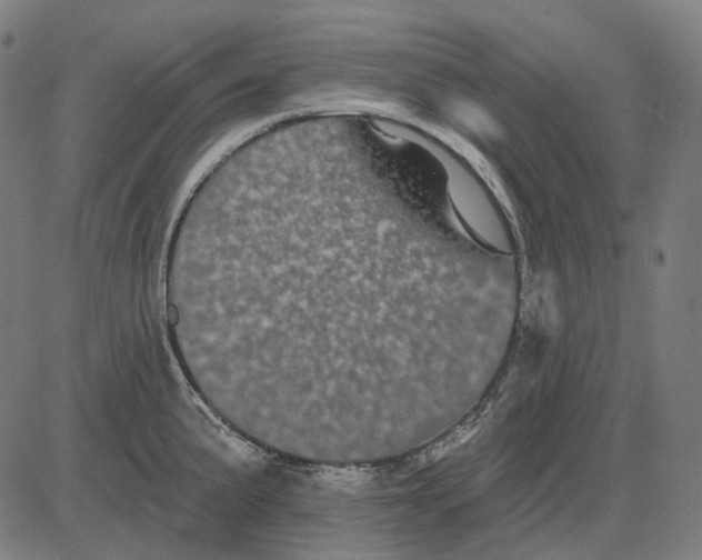 X0000081461191200702021800