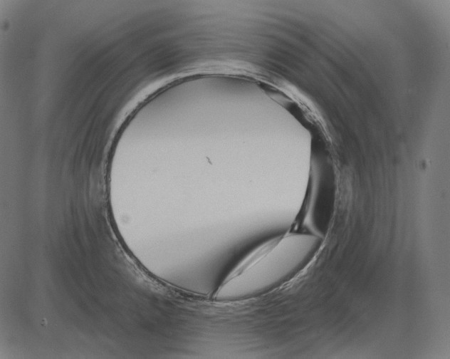 X0000081461192200702021800