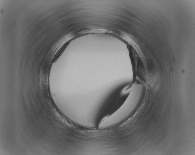 X0000081461193200702021759