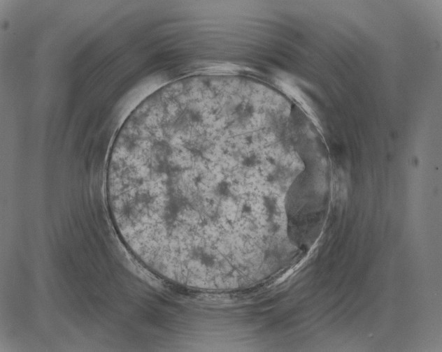 X0000081461194200702021759