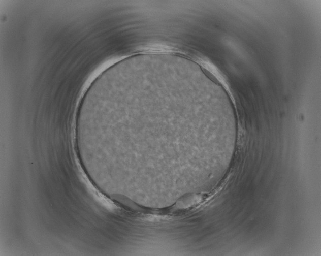 X0000081461195200702021759