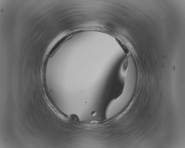 X0000081461196200702021759