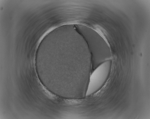 X0000081461197200702021759