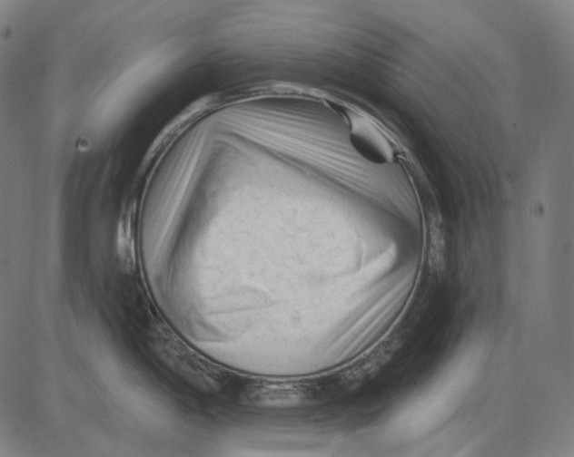 X0000081461198200702021759