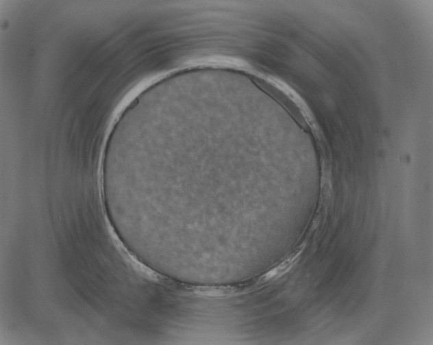 X0000081461199200702021759