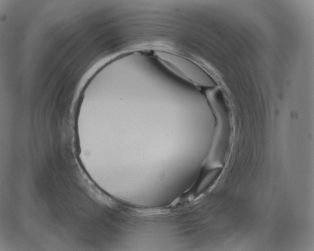 X0000081461200200702021759