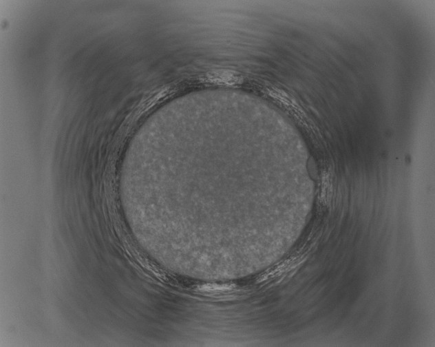 X0000081461201200702021759