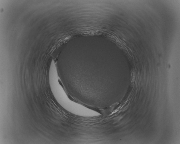 X0000081461202200702021759