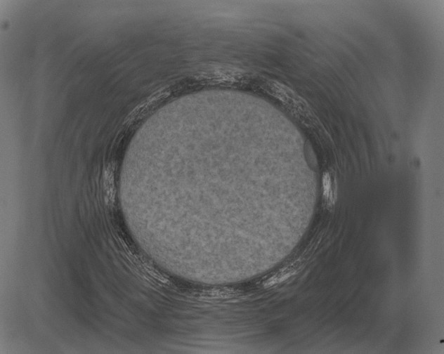 X0000081461203200702021759