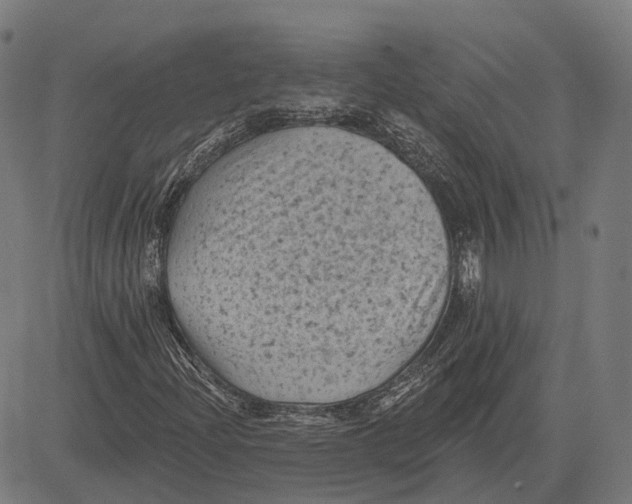 X0000081461204200702021759