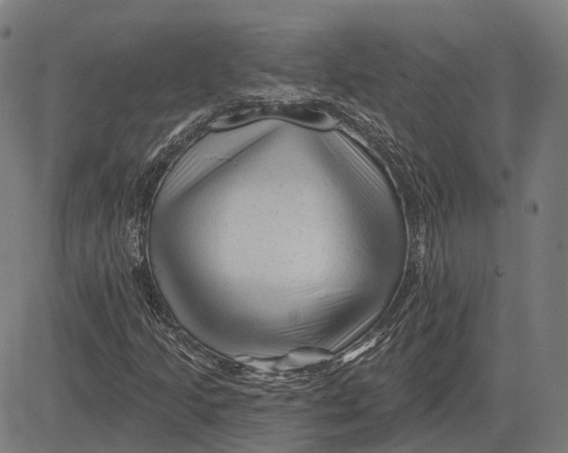 X0000081461205200702021759