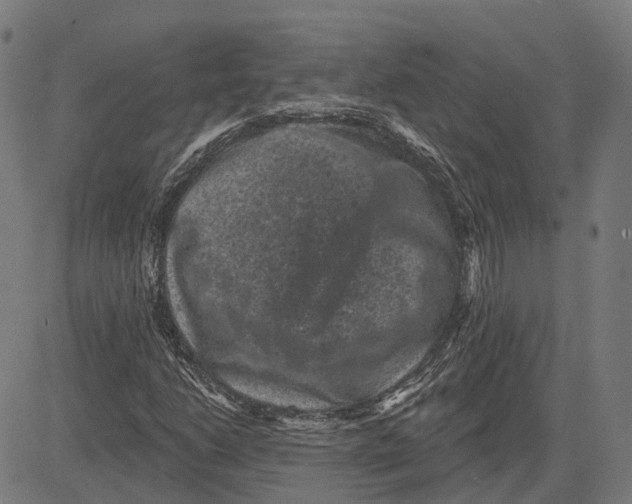 X0000081461206200702021759