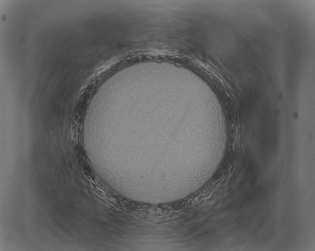 X0000081461207200702021759