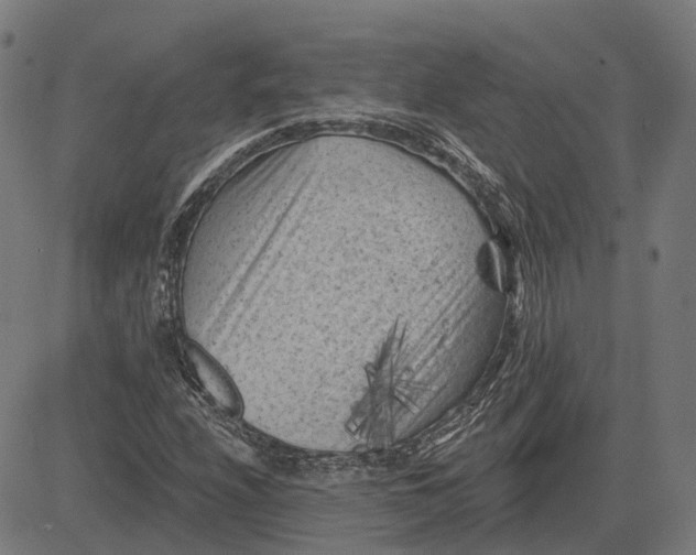 X0000081461208200702021759