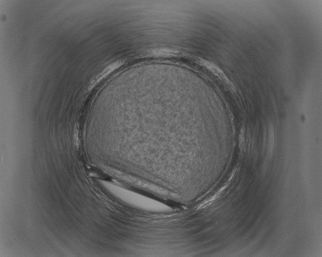 X0000081461209200702021759