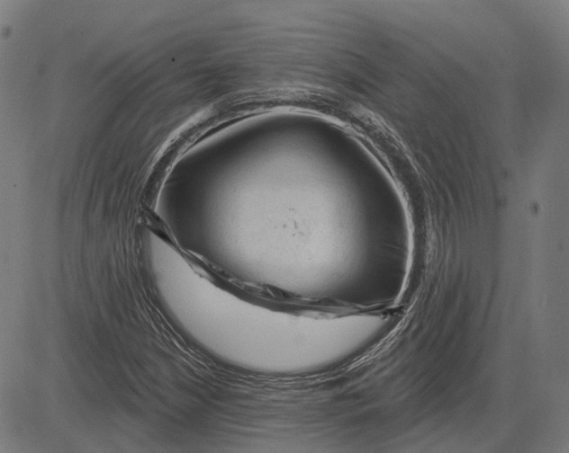 X0000081461210200702021759