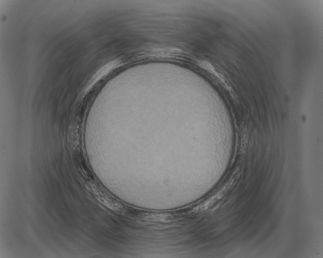 X0000081461211200702021759