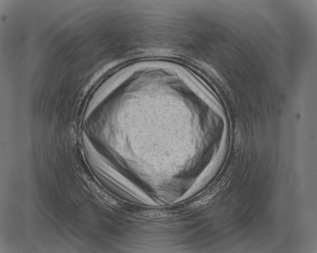 X0000081461212200702021759