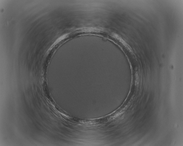 X0000081461213200702021759