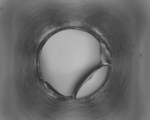 X0000081461214200702021759