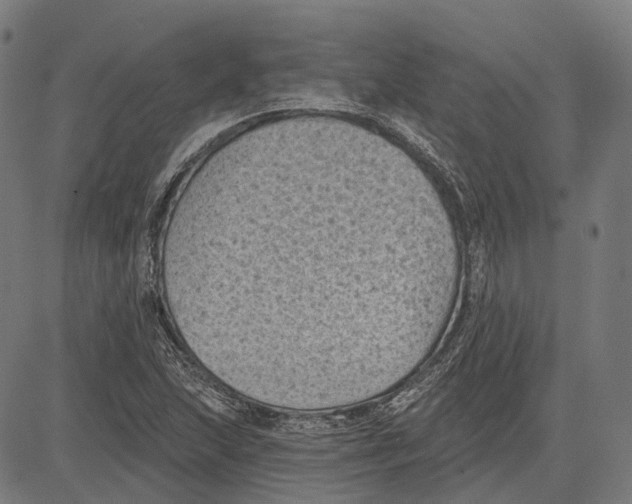 X0000081461215200702021759