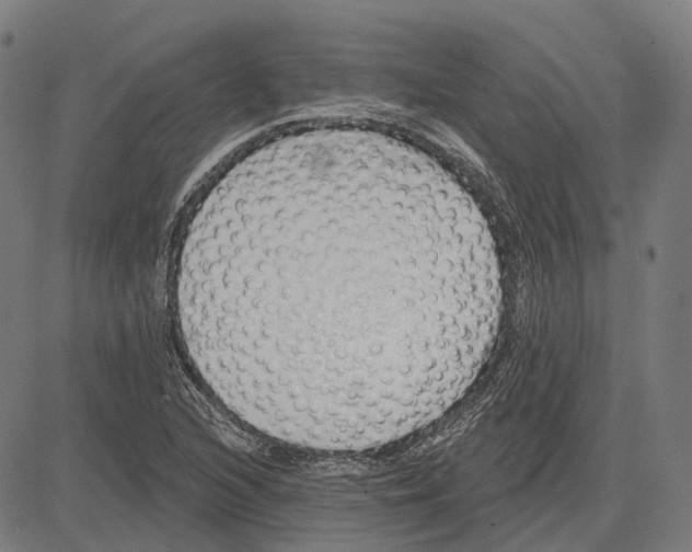 X0000081461216200702021759