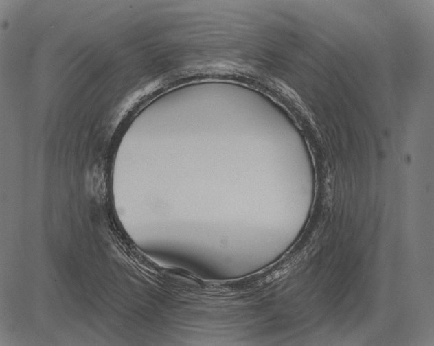 X0000081461218200702021759